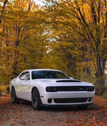 dodge challenger Dodge Challenger cena 210000 przebieg: 8200, rok produkcji 2021 z Wronki